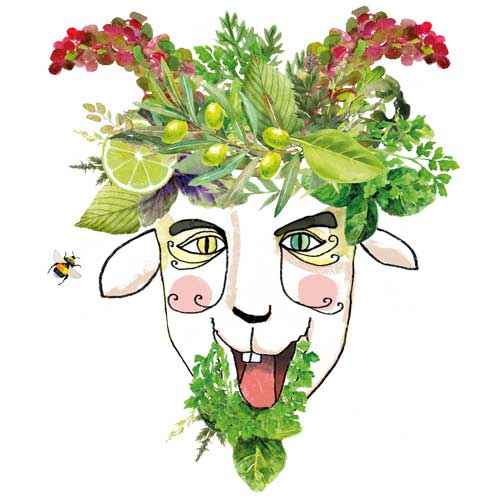 SpiceNerd - Dr. Daniel Kähler - Illu