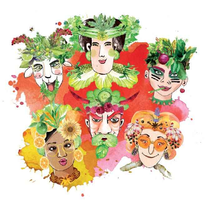 SpiceNerds - Dressings für Gemüse, Salatdressing und Toppings